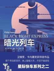 暗光列车