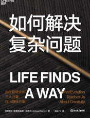 如何解决复杂问题