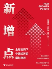 新增点  全球变局下中国经济的增长路径