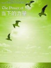 当下的力量 - 托利