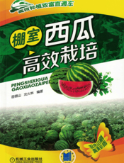 棚室西瓜高效栽培