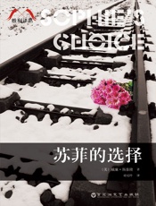 苏菲的选择