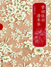 梦回依旧滞年华