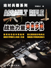 战地力量——突击步枪