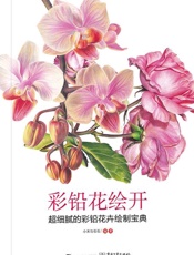 彩铅花绘开超细腻的彩铅花卉绘制宝典