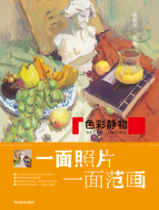 一面照片一面范画.色彩静物