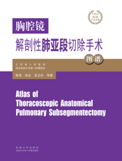 胸腔镜解剖性肺亚段切除手术图谱