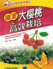 棚室大樱桃高效栽培