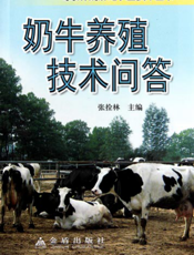 奶牛养殖技术问答