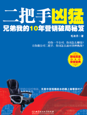 二把手凶猛：兄弟我的10年营销破局秘笈