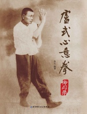 卢式心意拳传习录：内家拳健身、站桩；300多张高清拳照，教科书式的训练教范：集数.epub