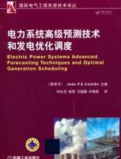 电力系统高级预测技术和发电优化调度