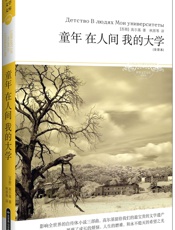 童年在人间我的大学