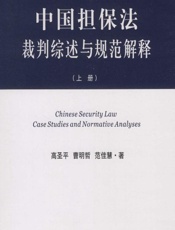 中国担保法裁判综述与规范解释（上） - 高圣平，曹明哲，范佳慧