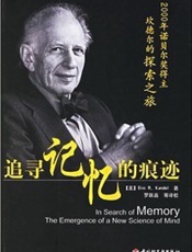 追寻记忆的痕迹 - 坎德尔