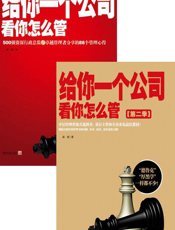 给你一个公司，看你怎么管（全2册）