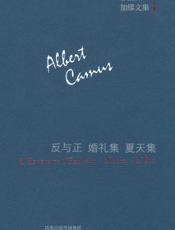 反与正•婚礼集•夏天集