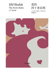 爱的四十条法则