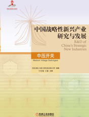 中国战略性新兴产业研究与发展·中压开关