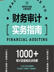财务审计实务指南 - 亚东