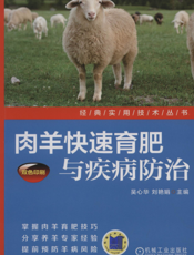 肉羊快速育肥与疾病防治