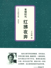 青铜时代红拂夜奔 (王小波全集) - 王小波