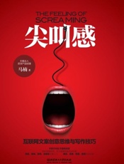 尖叫感：互联网文案创意思维与写作技巧 - 马楠著