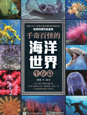 千奇百怪的海洋世界——生存篇