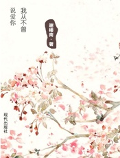 我从不曾说爱你