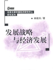 发展战略与经济发展-林毅夫