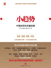 李伟-小趋势：中国经济的关键变数