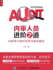 内审人员进阶之道：内部审计操作实务与案例解析
