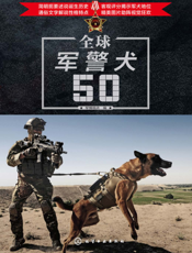 全球军警犬50