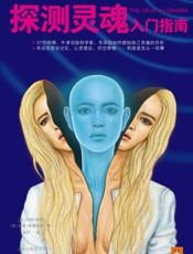 探测灵魂入门指南
