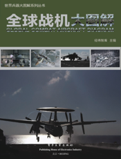全球战机大图解