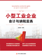 小型工业企业会计与纳税实务