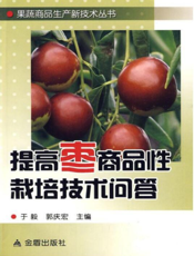提高枣商品性栽培技术问答