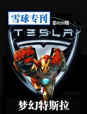 梦幻特斯拉-雪球