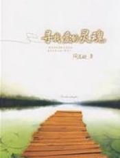 寻找爱的灵魂 - 陶思璇