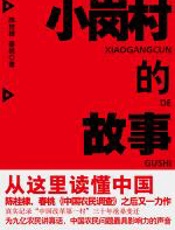 小岗村的故事 - 陈桂棣