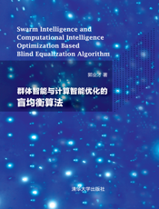群体智能与计算智能优化的盲均衡算法