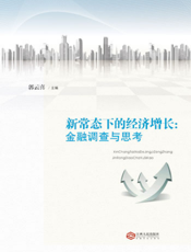 新常态下的经济增长：金融调查与思考