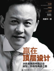 赢在顶层设计：决胜未来的中国企业转型、升级与再造之路