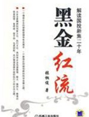 一个煤炭企业的传奇发展史：黑金红流 - 张桐俊