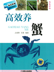高效养蟹
