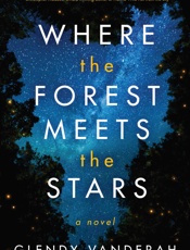 Where the Forest Meets the Stars - Glendy Vanderah