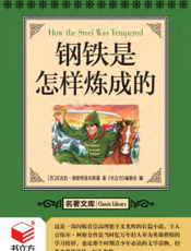 钢铁是怎样炼成的【9787542751430】
