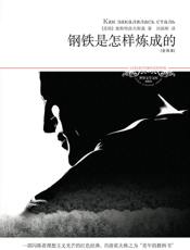钢铁是怎样炼成的（全译本）