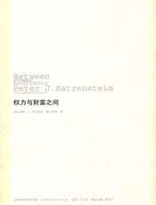 权力与财富之间-卡岑斯坦