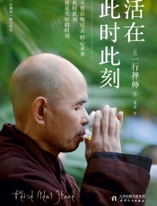 活在此时此刻（一本教你活出生命意义的灵性之书！赖声川、梁文道、张德芬、奥普拉推崇的佛教宗教大师） - 一行禅师